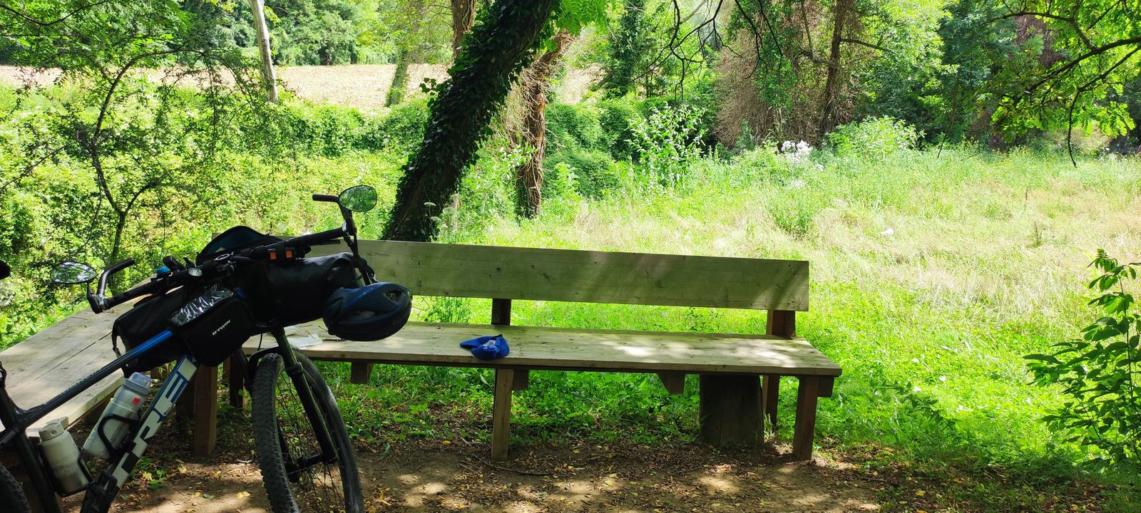 A loaded bike at the left edge of the frame, an empty wooden bench in the middle, grass and woodland around