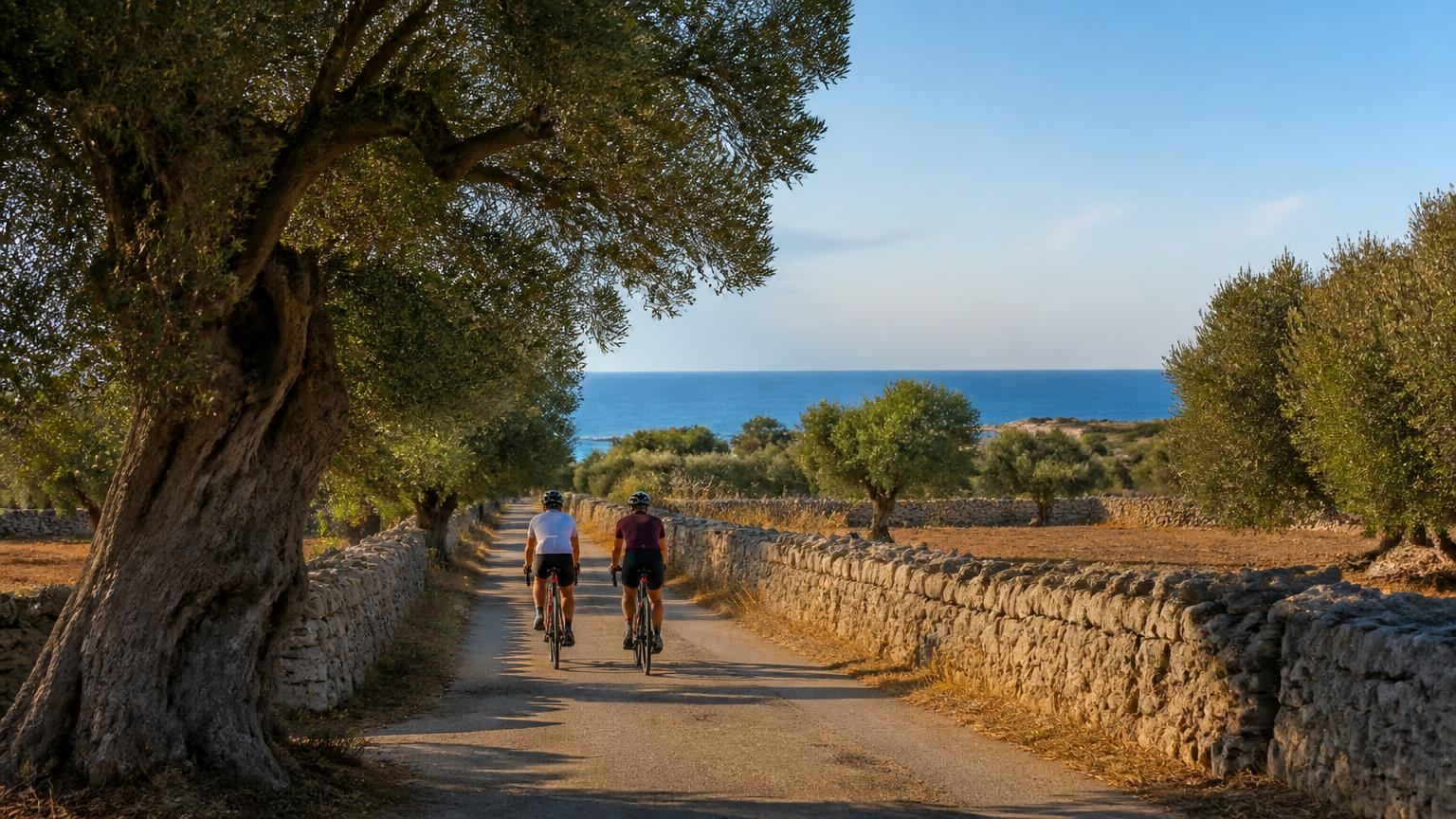 Two cyclists riding a narrow lane between dry stone walls and old olive trees, the sea visible at the end of the road